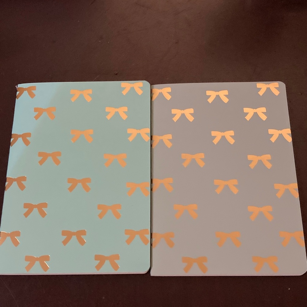 Gold foil Light Blue Lined Notebook Danya Lee Collection 1 Notebook